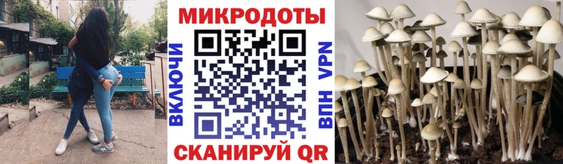 Галлюциногенные грибы мицелий  продажа наркотиков  Камбарка 